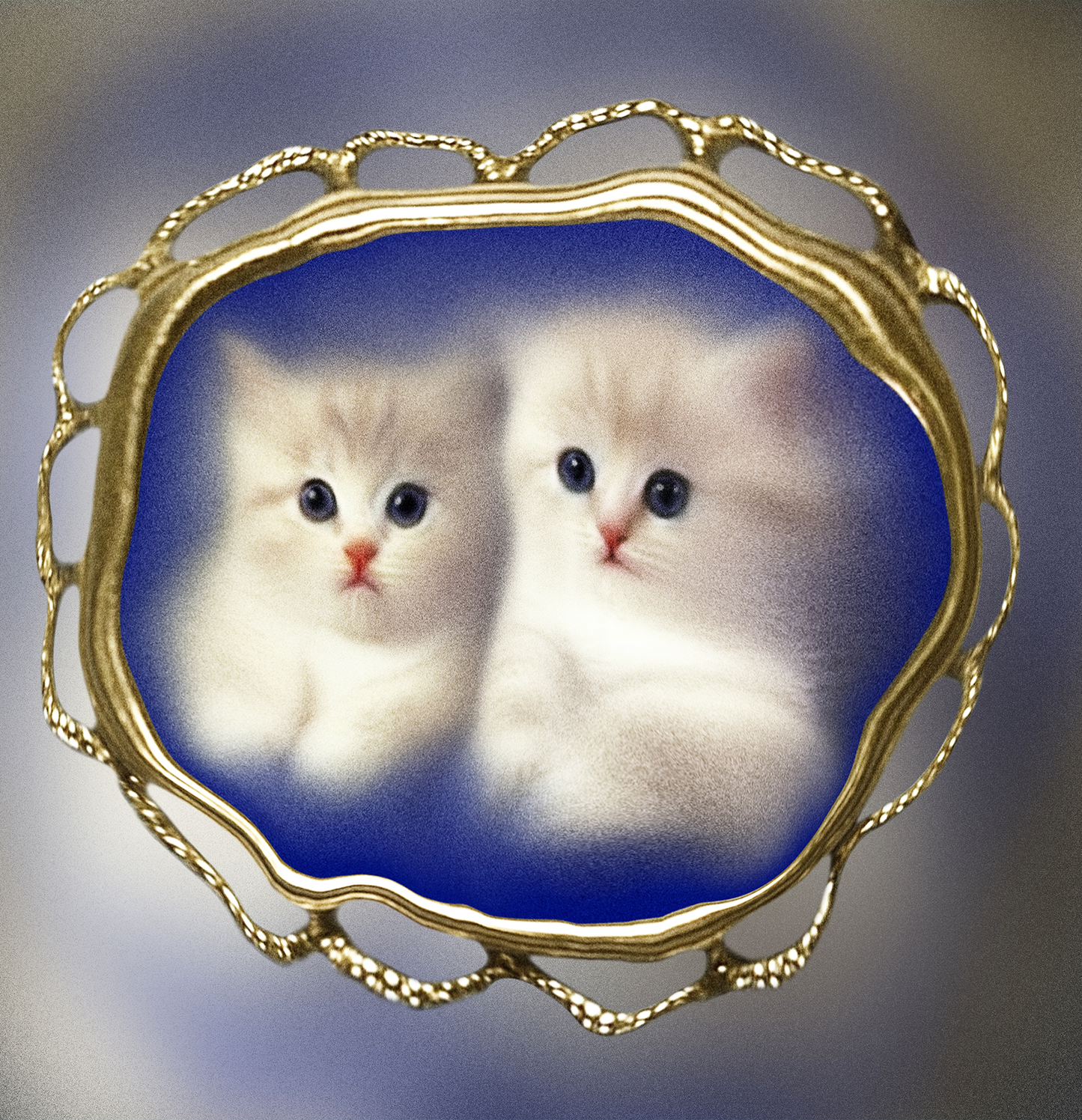 kitties