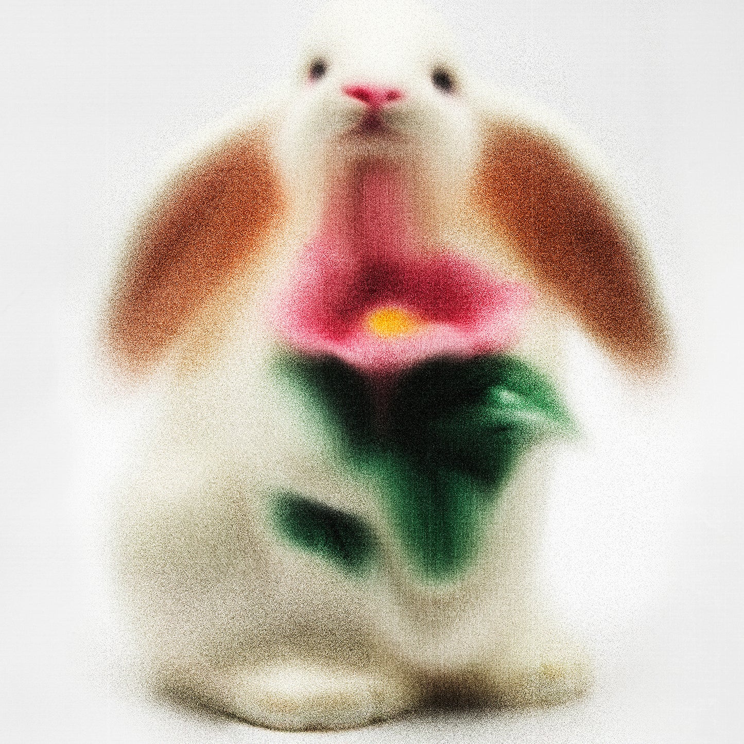 rabbit