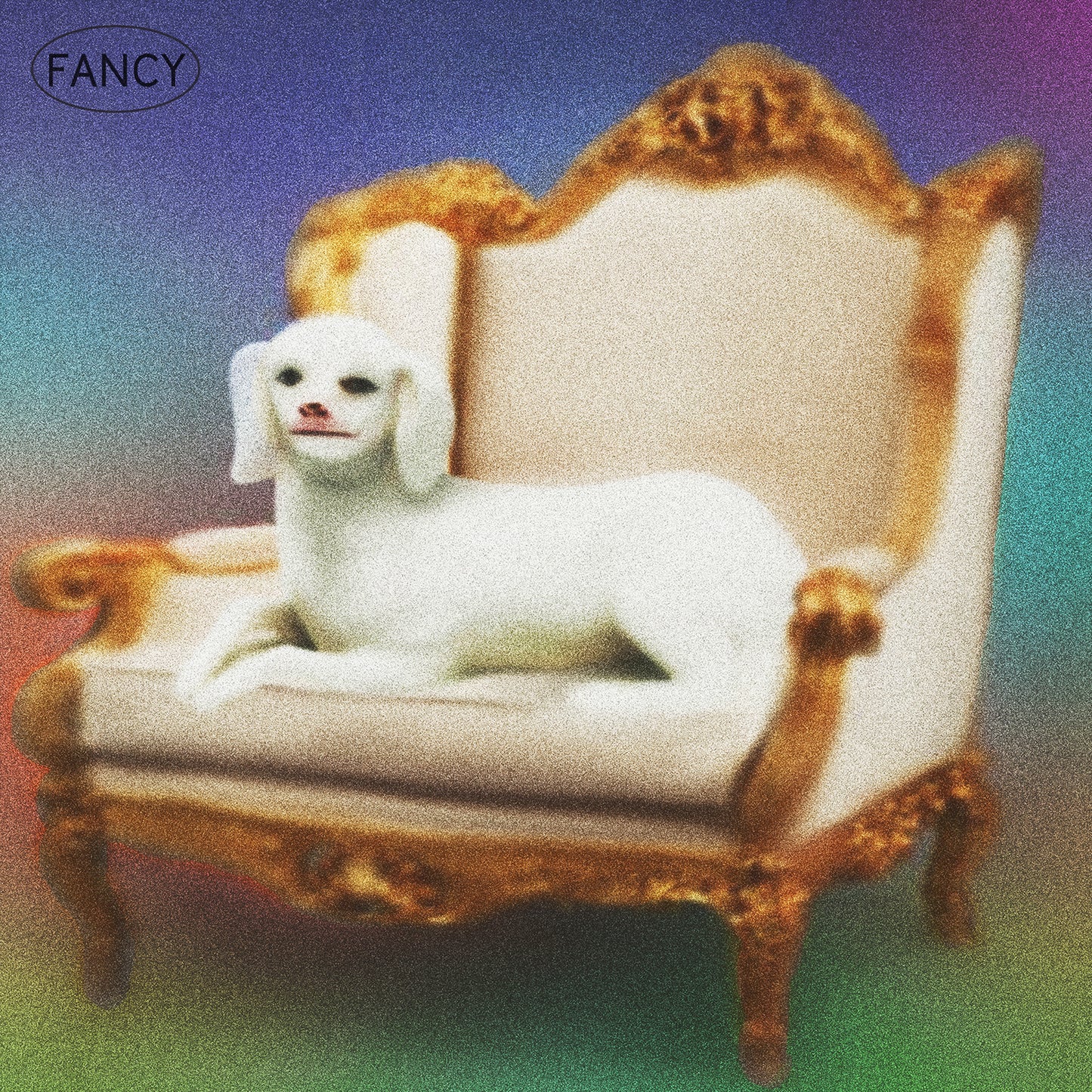 fancy